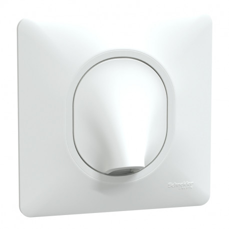 Sortie de câble Ovalis Schneider Electric - 16A - Borne à vis - Blanc - Complet