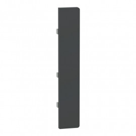 Enjoliveur 1 grande touche D-Life Schneider Electric - SpaceLogic KNX - Etiquette dynamique - Anthracite