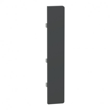 Enjoliveur 1 grande touche D-Life Schneider Electric - SpaceLogic KNX - Etiquette dynamique - Anthracite