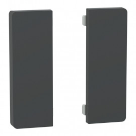 Enjoliveur 2 touches médianes D-Life Schneider Electric - SpaceLogic KNX - Etiquette dynamique - Anthracite