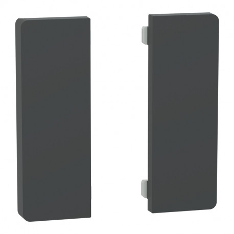 Enjoliveur 2 touches médianes D-Life Schneider Electric - SpaceLogic KNX - Etiquette dynamique - Anthracite
