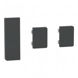 Enjoliveur 1 touche médiane + 2 petites touches D-Life Schneider Electric - SpaceLogic KNX - Etiquette dynamique - Anthracite