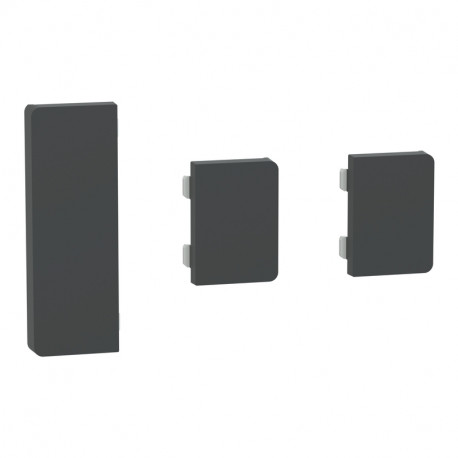 Enjoliveur 1 touche médiane + 2 petites touches D-Life Schneider Electric - SpaceLogic KNX - Etiquette dynamique - Anthracite