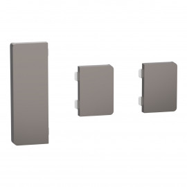 Enjoliveur 1 touche médiane + 2 petites touches D-Life Schneider Electric - SpaceLogic KNX - Etiquette dynamique - Nickel