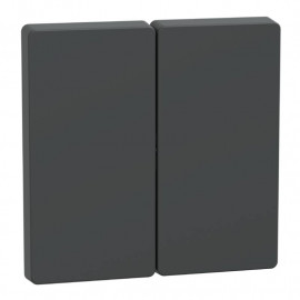 Enjoliveur pour commande double D-Life Schneider Electric - Anthracite