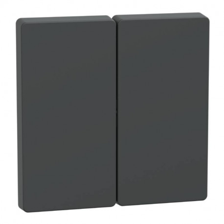 Enjoliveur pour commande double D-Life Schneider Electric - Anthracite