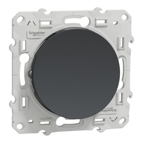 Va-et-vient Odace 10A - Anthracite