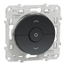 Interrupteur pour volet-roulant Odace - Anthracite