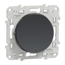 Va-et-vient lumineux Odace - Anthracite