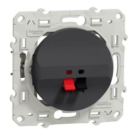 Odace prise hauts parleurs simple - anthracite