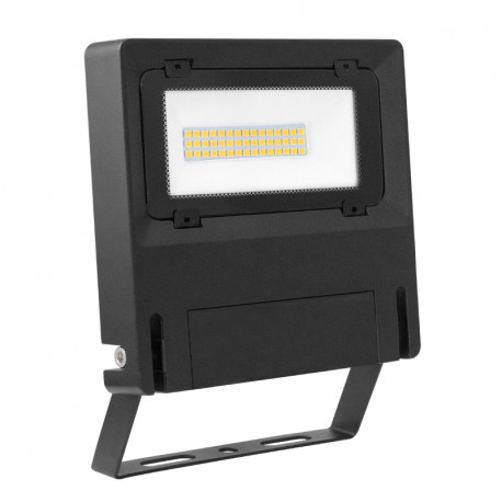 Projecteur extérieur Michelle Aric - 30W - 4000K - Noir