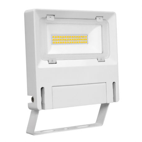 Projecteur extérieur Michelle Aric - 30W - 4000K - Blanc