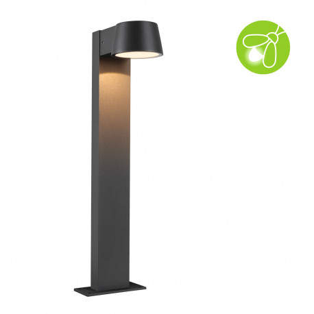 Borne lumineuse extérieur 230 V Capea IP44 2200K Alu noir, resp. insectes