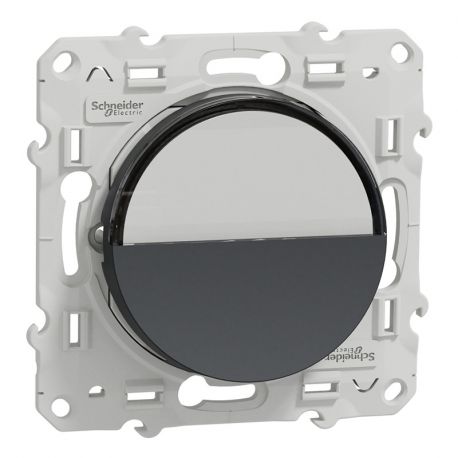 Odace poussoir avec porte étiquette pour carillon 10A - anthracite