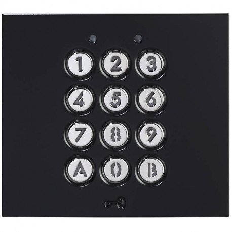 Module clavier GTACB Aiphone - 100 codes - 2 relais - 12V / 24V - Noir satiné