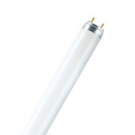 Tube fluorescent LUMILUX T8 Ledvance - G13 - 36W - 4000K -Dimmable