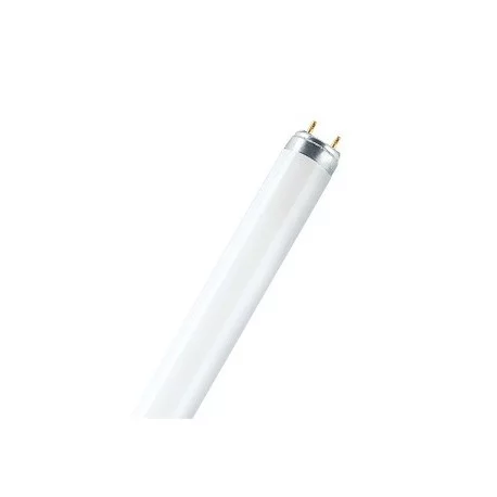 Tube fluorescent LUMILUX T8 Ledvance - G13 - 36W - 4000K -Dimmable