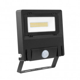 Projecteur extérieur avec détecteur Michelle Sensor Aric - 30W - 4000K - Noir