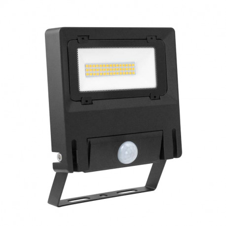 Projecteur extérieur avec détecteur Michelle Sensor Aric - 30W - 4000K - Noir