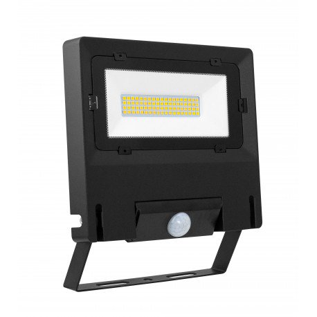Projecteur extérieur avec détecteur Michelle Sensor Aric - 50W - 4000K - Noir