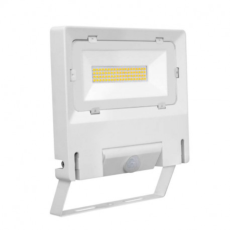 Projecteur extérieur avec détecteur Michelle Sensor Aric - 50W - 3000K - Blanc