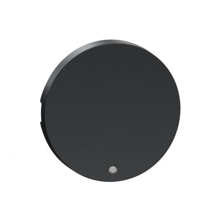 Enjoliveur pour commande lumineuse basse consommation - anthracite (livré sans LED)