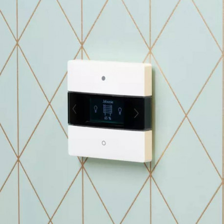Contrôleur ambiant iON 108 KNX Theben - 20 canaux