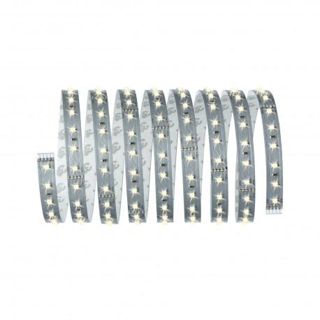 MaxLED 500 ruban 2,5 m Blanc chaud 17,5 W 24 V Argent