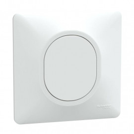 Obturateur Ovalis Schneider Electric - Griffes montées - Blanc - Complet