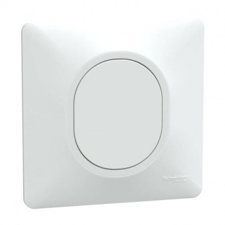 Obturateur Ovalis Schneider Electric - Griffes montées - Blanc - Complet
