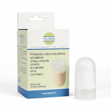 Boîte de 6 recharges de polyphosphate Orion - FP 84S