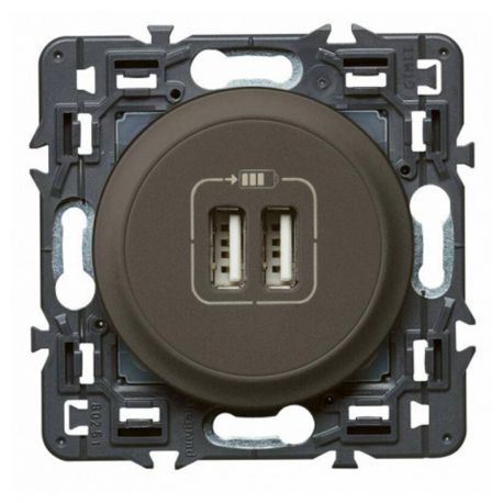 Prise double USB Complet Céliane - Type USB A - 3A - Graphite