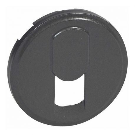 Enjoliveur Céliane pour prise simple RJ45 STP catégorie 6 multimédia - Graphite