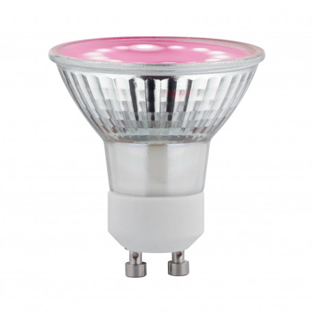 LED Plant GU10 3,5W 230V