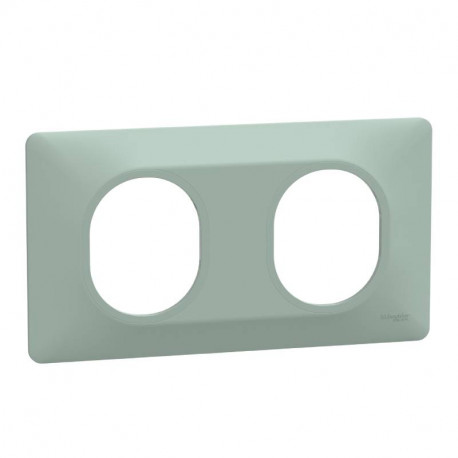 Plaque de finition Ovalis Schneider Electric - 2 postes - Horizontal - Sauge