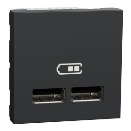 Prise d'alimentation USB Unica - Type A - 2 modules - Anthracite
