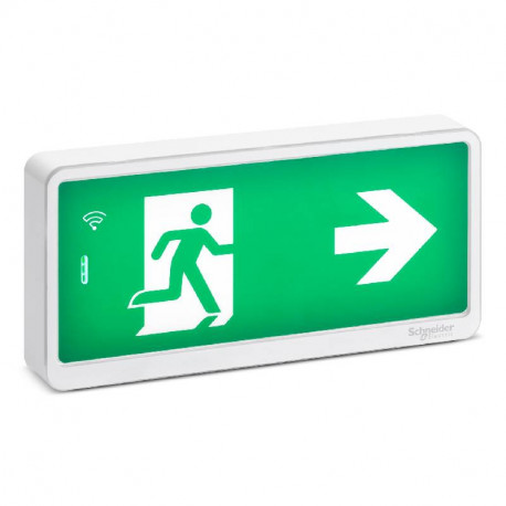 Bloc de secours bi-fonction Exiway light Schneider Electric - SATI - 1h - IP42