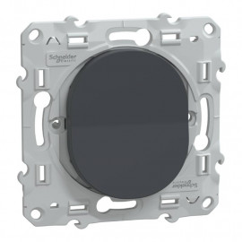 Permutateur 10AX Ovalis Schneider Electric - Anthracite