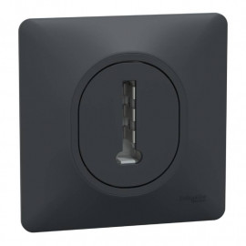 Prise téléphone en T Ovalis Schneider Electric - 8 contacts - Anthracite