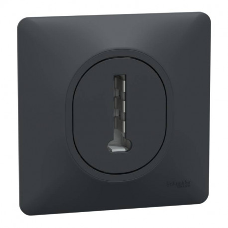 Prise téléphone en T Ovalis Schneider Electric - 8 contacts - Anthracite