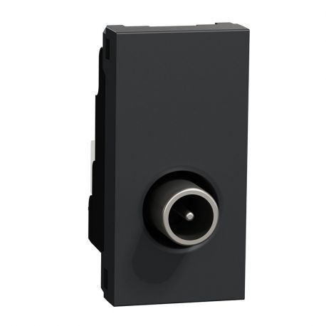 Prise télévision Unica - Mâle - 1 module - Anthracite