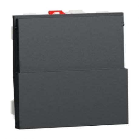 Bouton-poussoir NO/NF Unica - Porte-étiquette - 2 modules - 10A - Anthracite