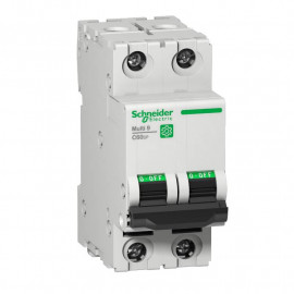 Disjoncteur miniature 6A Multi9 C60SP Schneider Electric - 2 pôles - 10kA / 480Y-277V - Courbe B - Norme UL1077