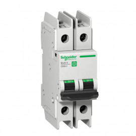 Disjoncteur miniature 63A Multi9 C60BP Schneider Electric - 2 pôles - 10kA 240V - Courbe C - Norme UL489