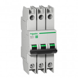 Disjoncteur Ring 25A Multi9 C60BPR Schneider Electric - 3 pôles - 10kA / 480Y-277V - Courbe C - Norme UL489