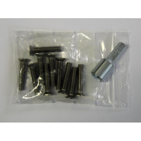 Lot de 10 vis M5/25 avec embout Urmet - Pour plaques de rue inox
