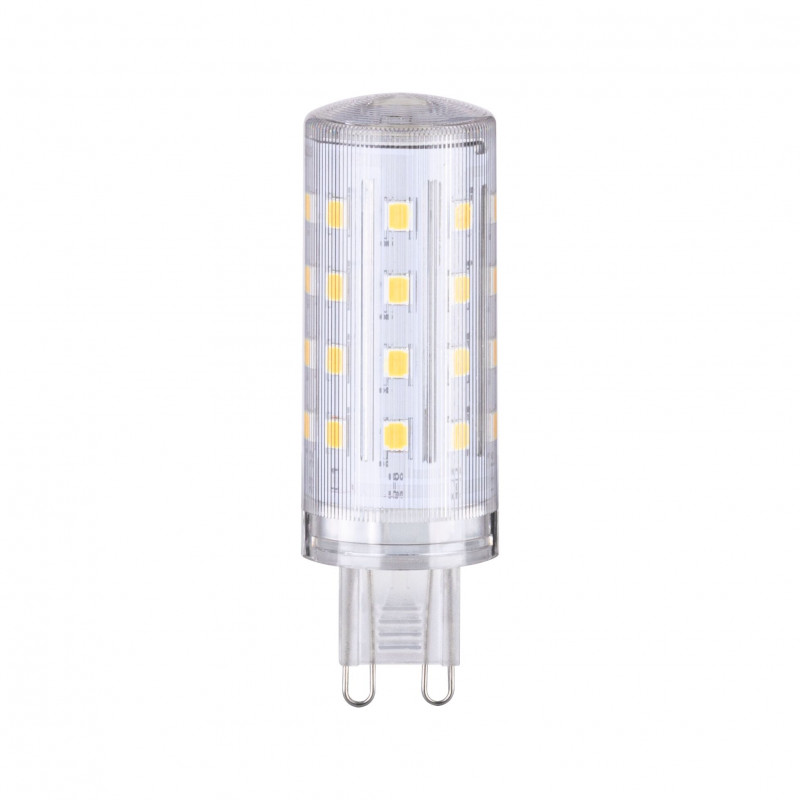 Paulmann Ampoule LED standard 29099