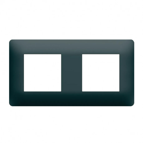Plaque 2 postes Essensya Hager - Anthracite