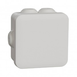 Boites de dérivation Mureva Box Schneider Electric - 7 Entrées Ø20mm - IP55 - Blanc polaire
