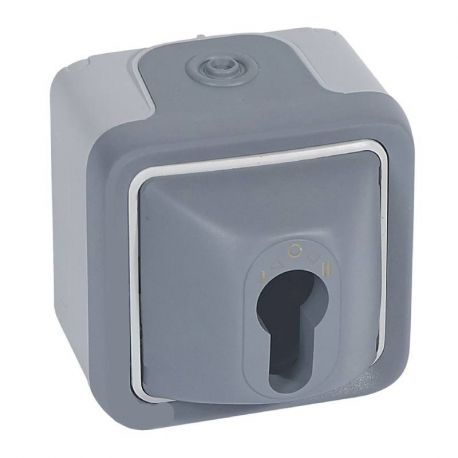 Interrupteur à clé complet en saillie Plexo IP20 - Gris